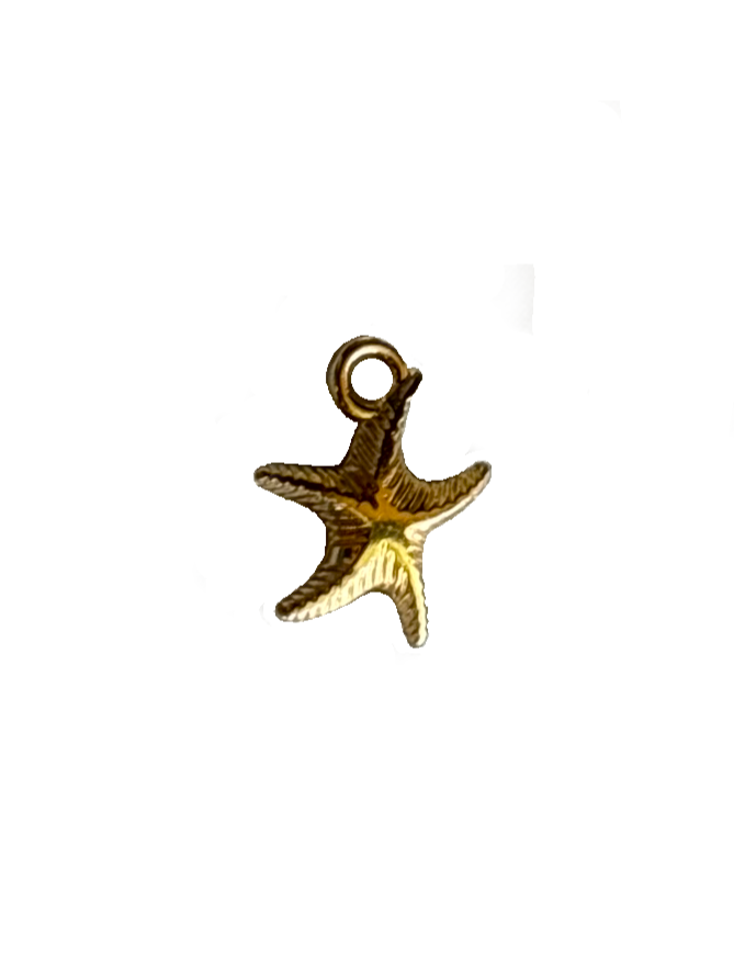 Gold Charms (Product Add on)