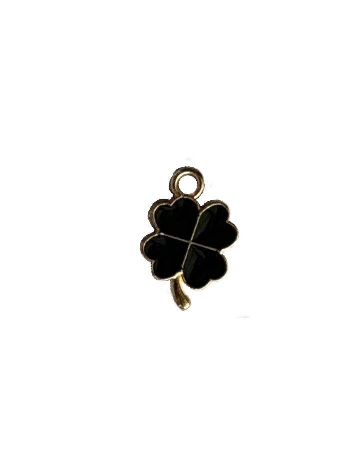 Gold Charms (Product Add on)