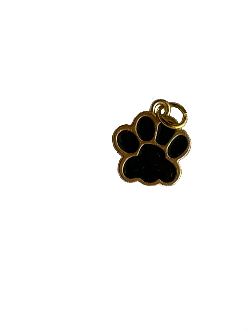 Gold Charms (Product Add on)