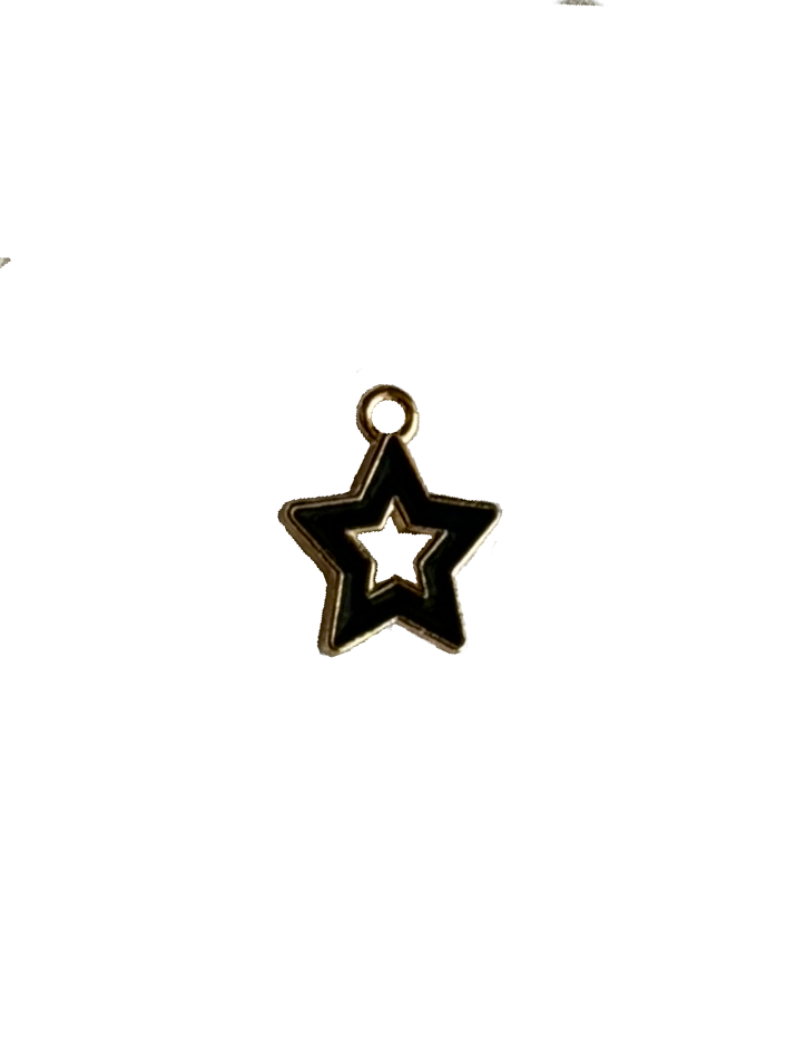 Gold Charms (Product Add on)