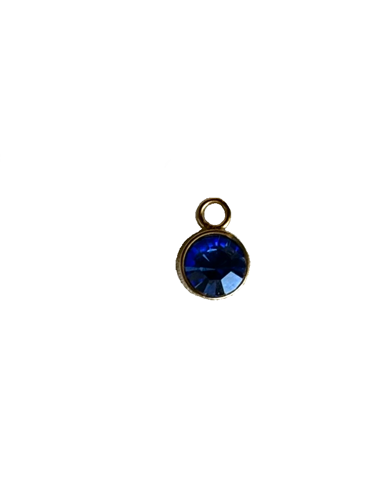 Gold Charms (Product Add on)