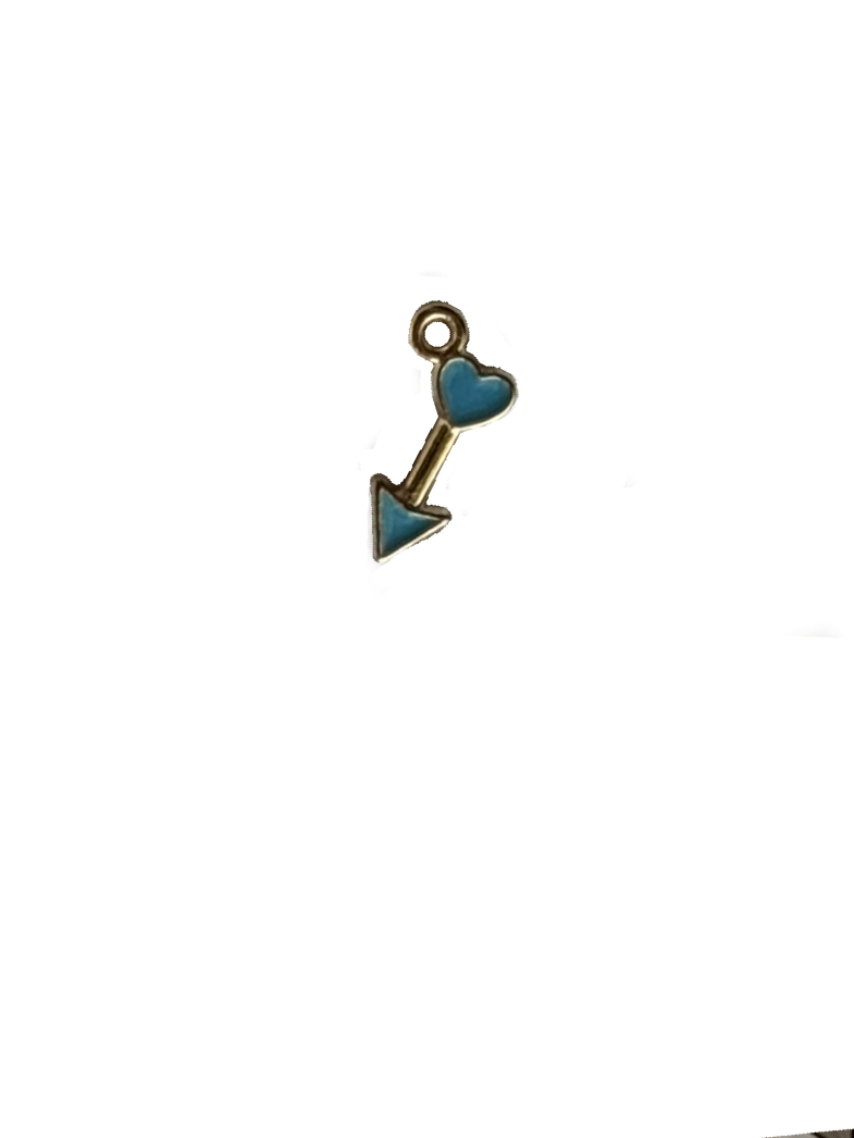 Gold Charms (Product Add on)