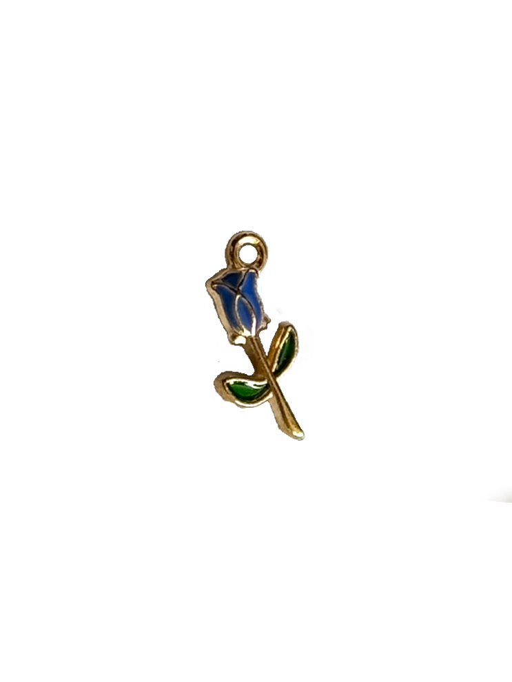Gold Charms (Product Add on)