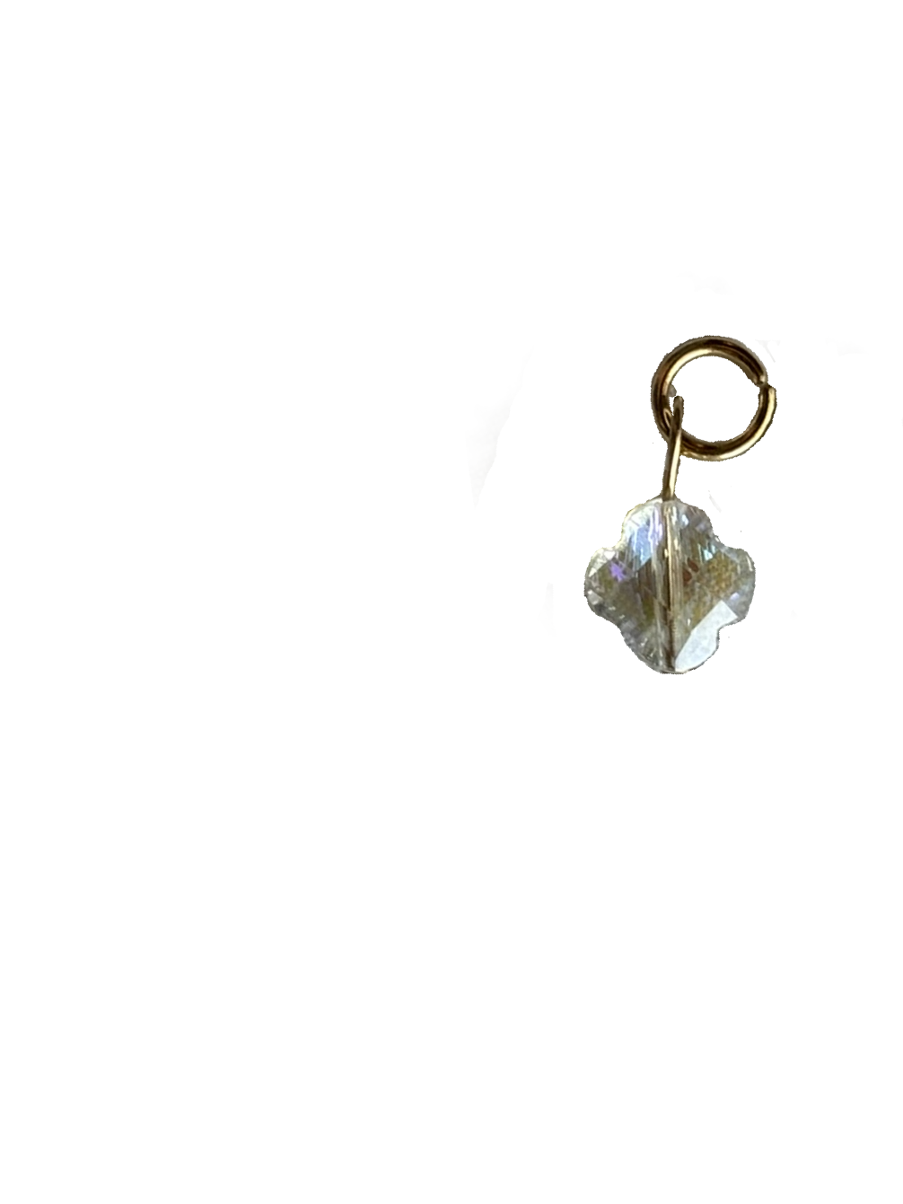 Gold Charms (Product Add on)