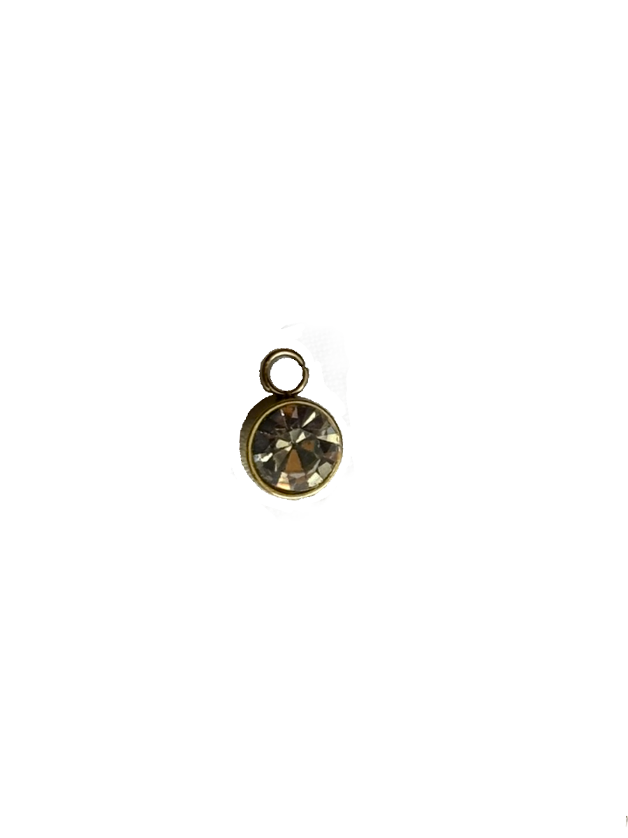 Gold Charms (Product Add on)