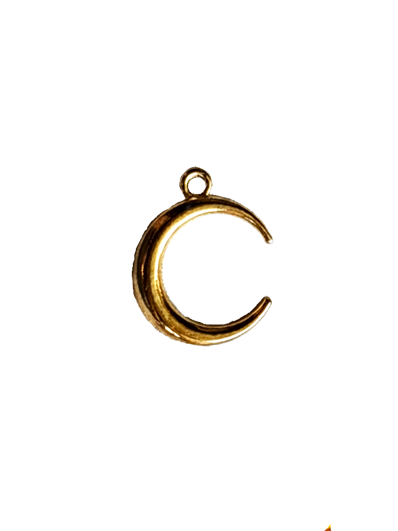 Gold Charms (Product Add on)