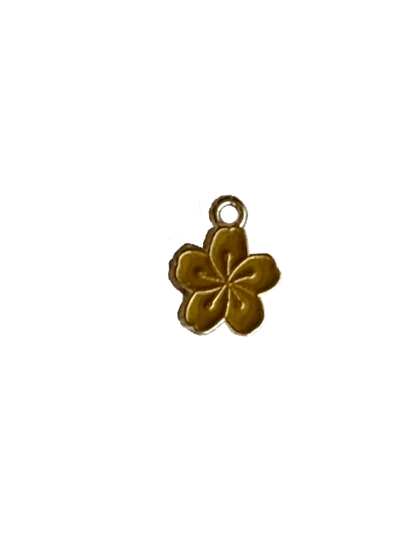 Gold Charms (Product Add on)