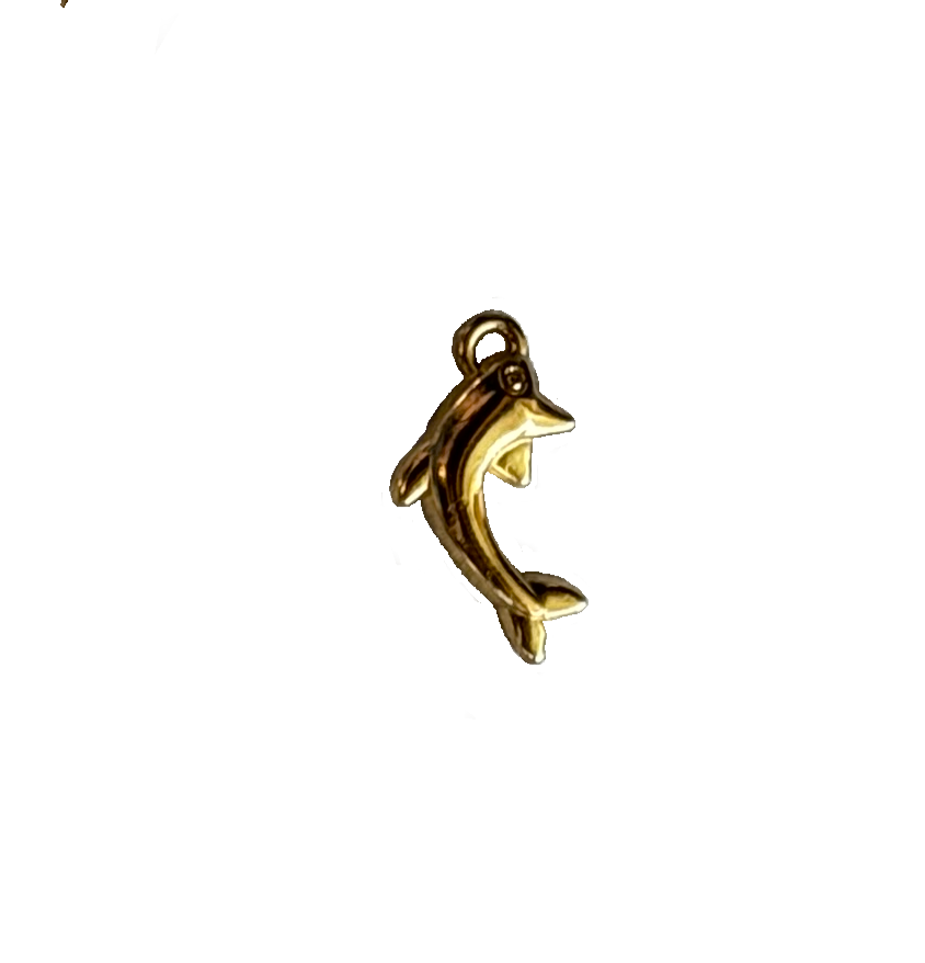 Gold Charms (Product Add on)