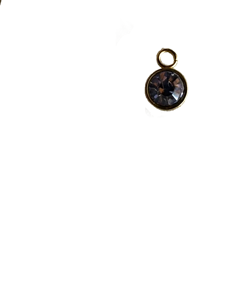 Gold Charms (Product Add on)