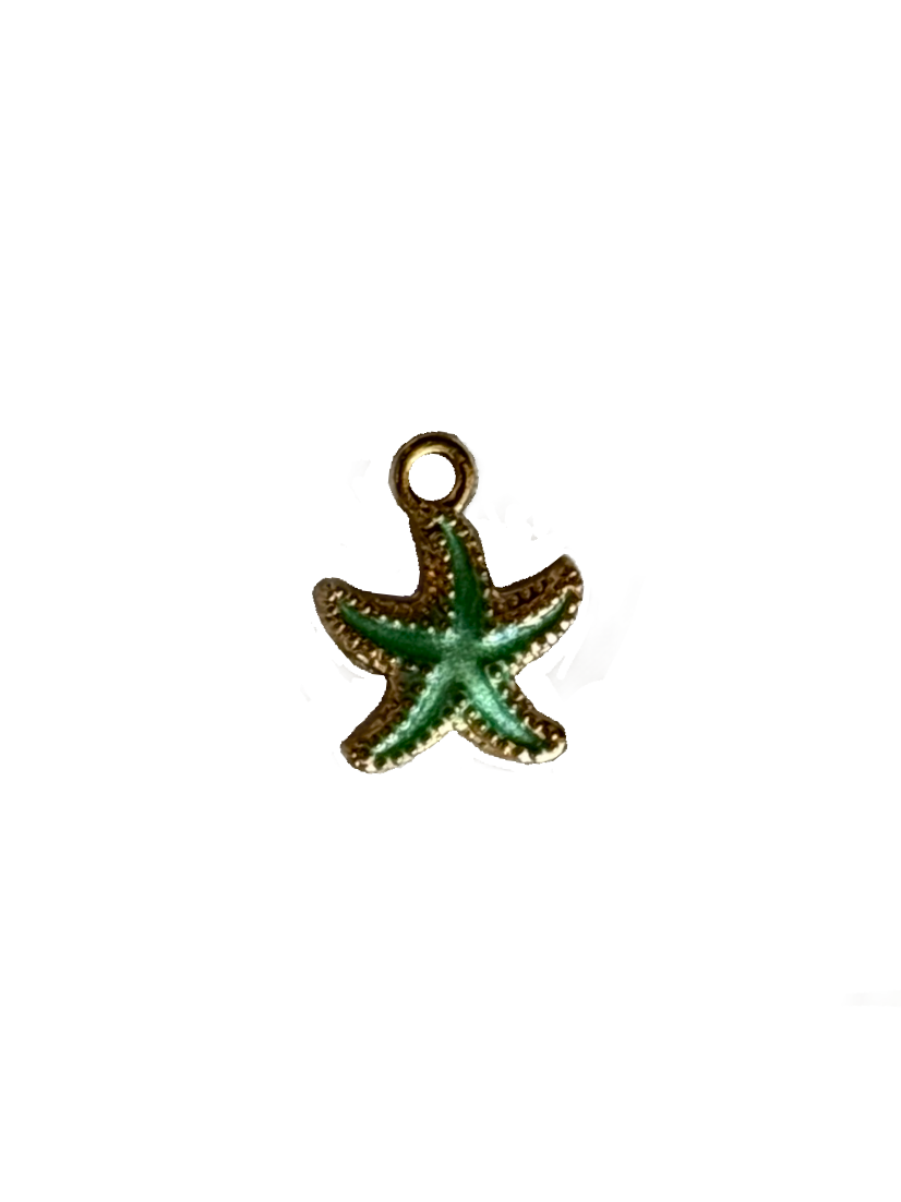 Gold Charms (Product Add on)