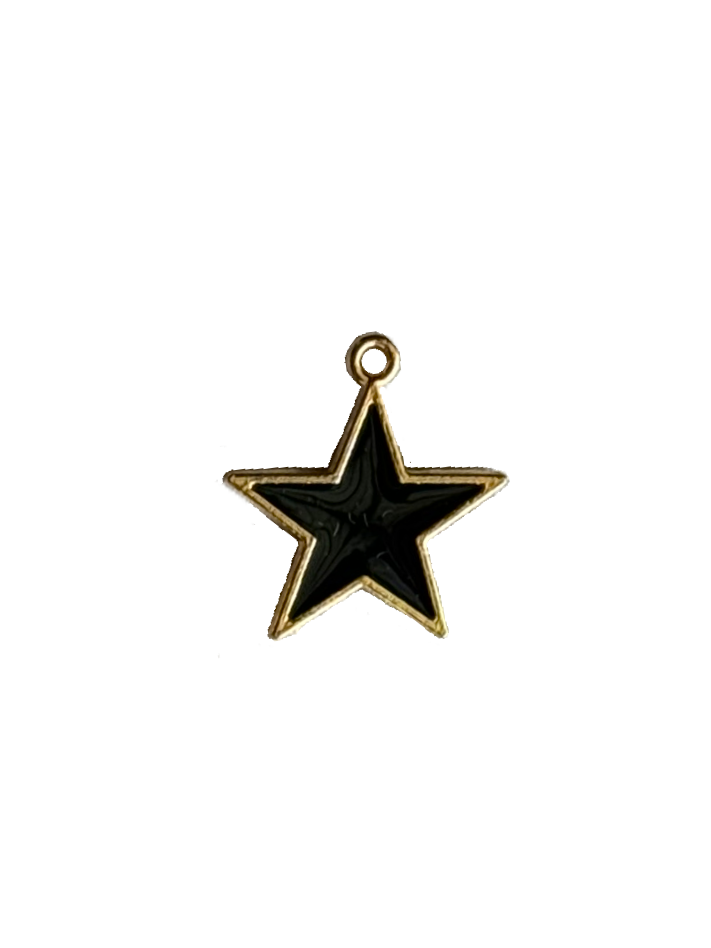 Gold Charms (Product Add on)