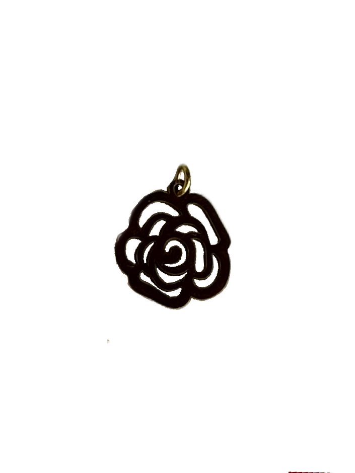 Gold Charms (Product Add on)