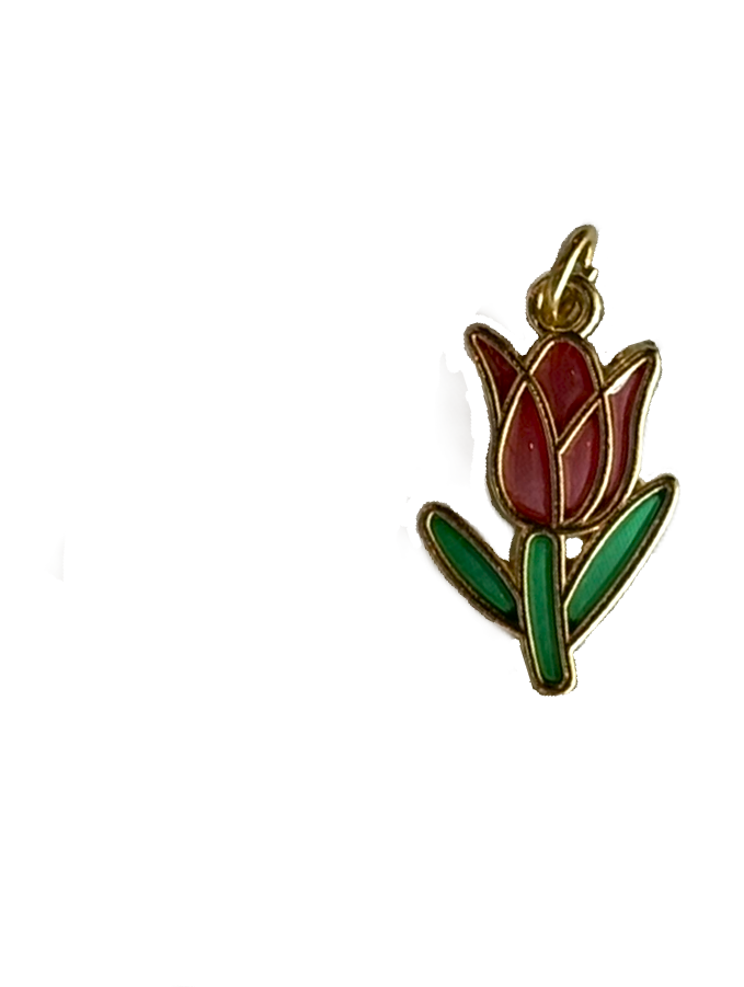 Gold Charms (Product Add on)