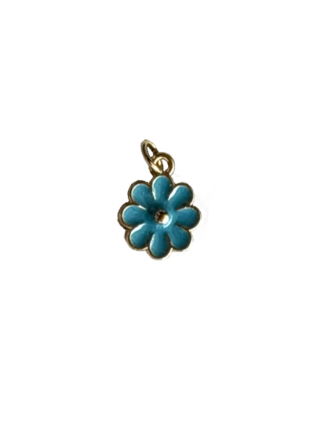Gold Charms (Product Add on)