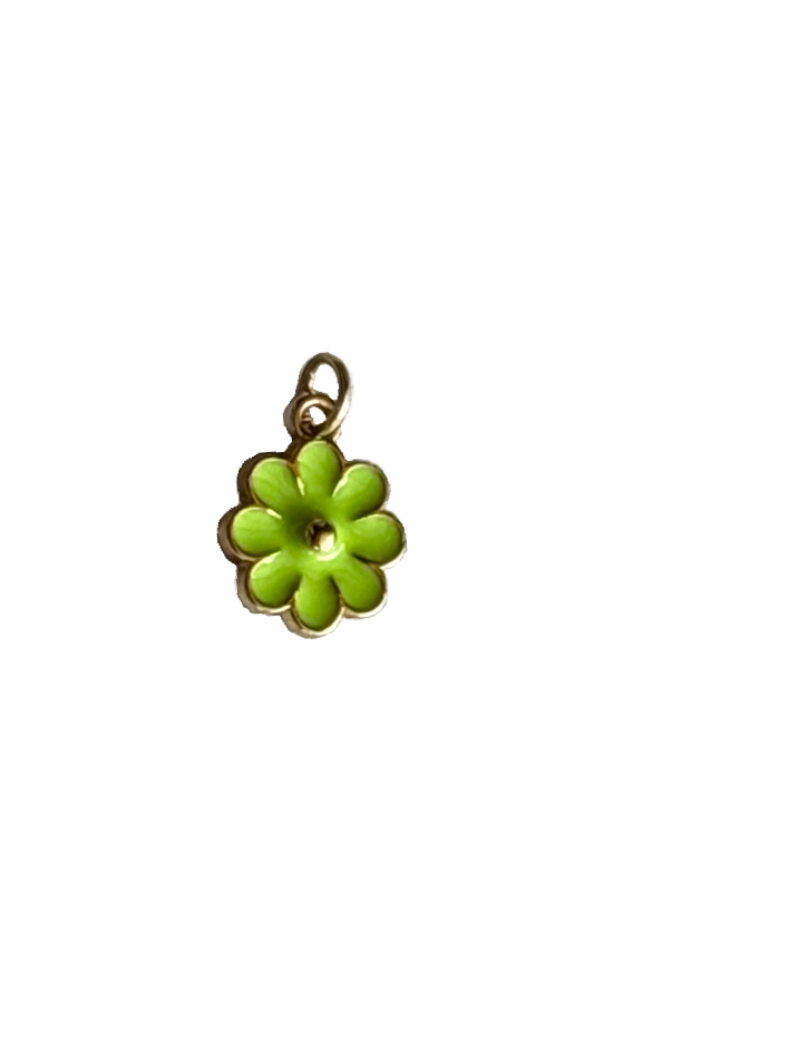 Gold Charms (Product Add on)