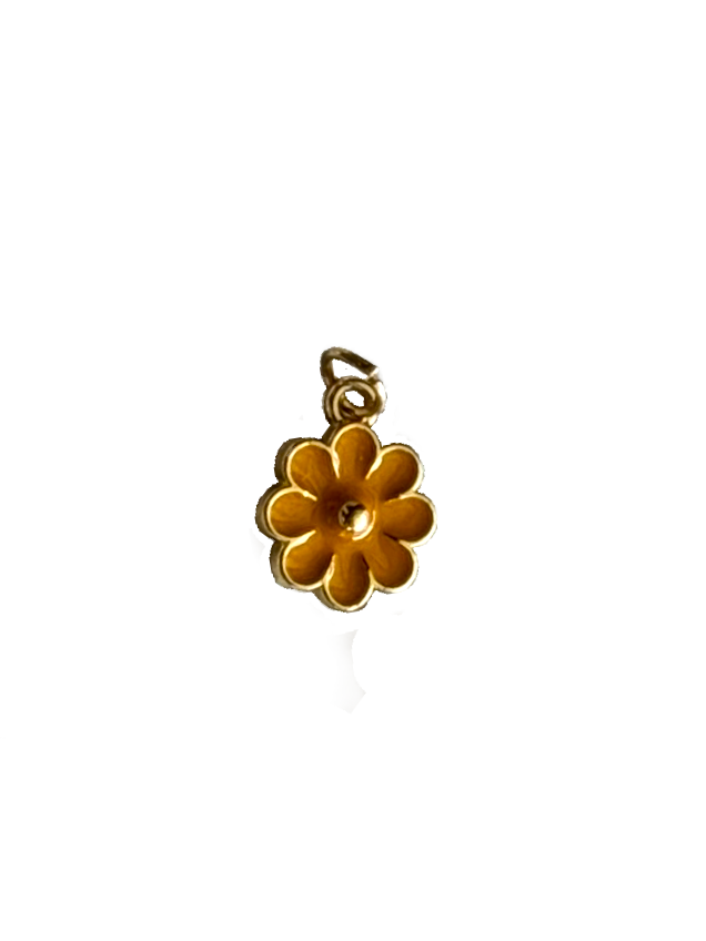 Gold Charms (Product Add on)