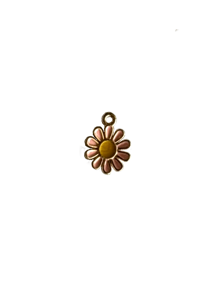 Gold Charms (Product Add on)