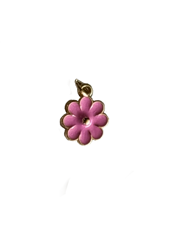 Gold Charms (Product Add on)