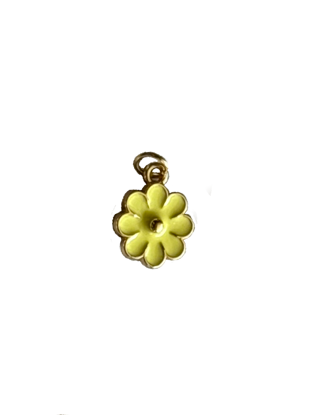 Gold Charms (Product Add on)