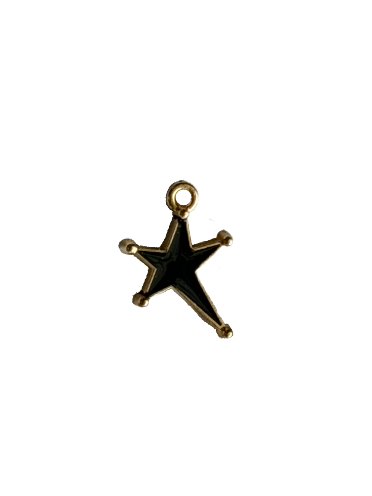 Gold Charms (Product Add on)