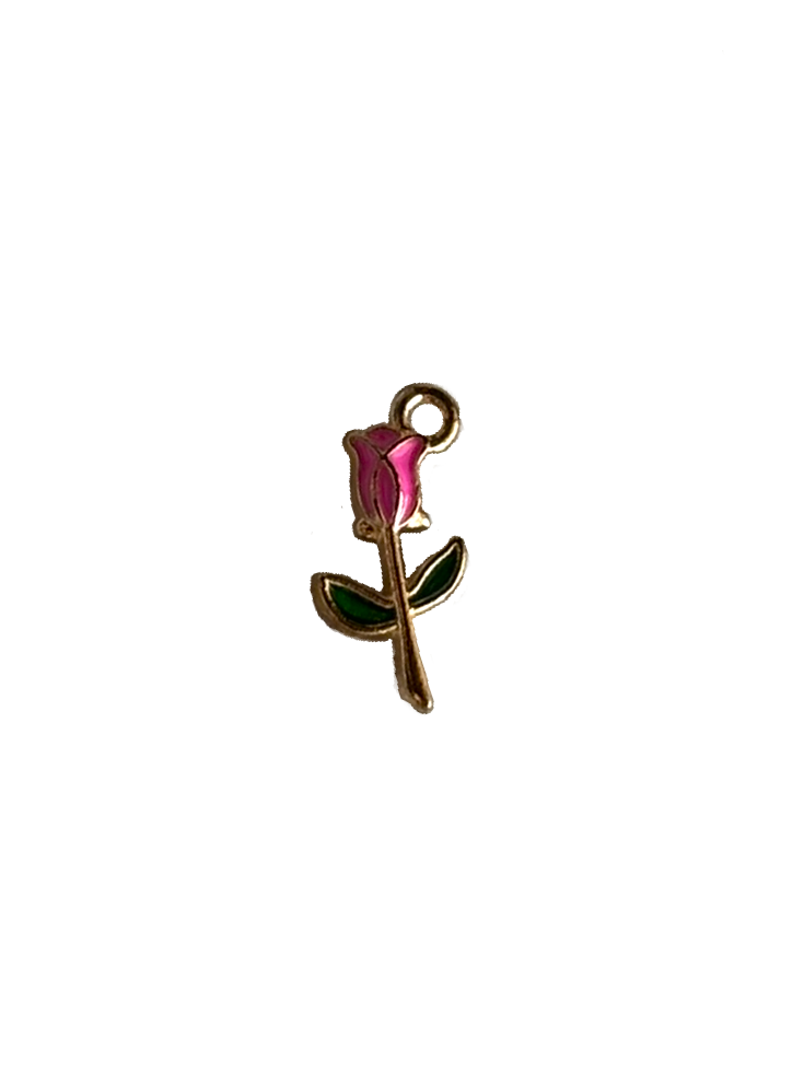 Gold Charms (Product Add on)
