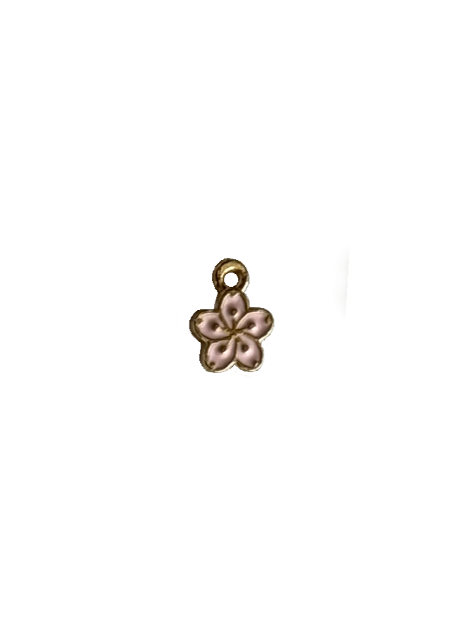Gold Charms (Product Add on)