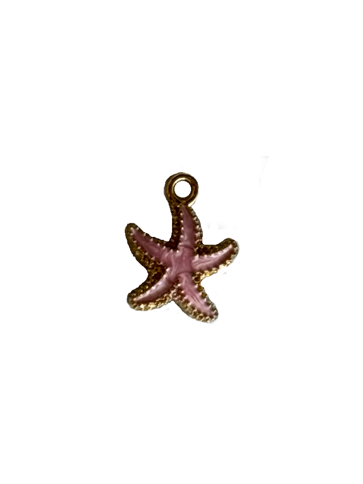 Gold Charms (Product Add on)