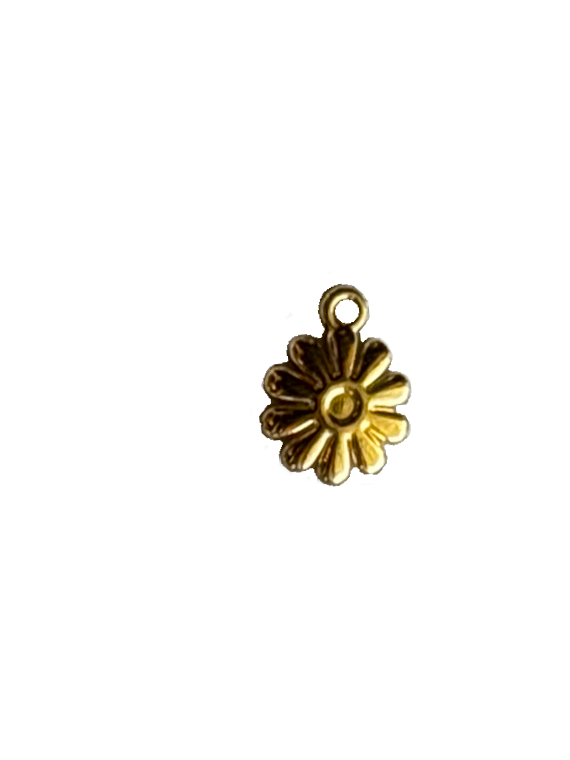 Gold Charms (Product Add on)