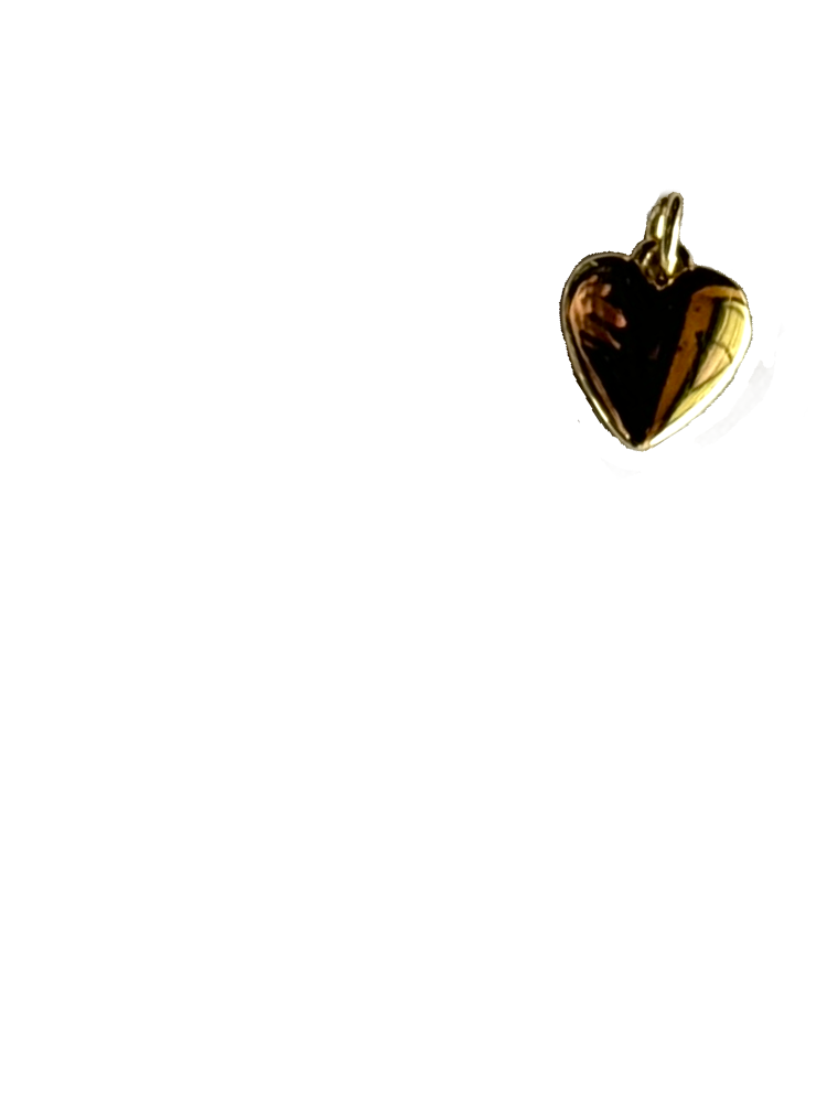 Gold Charms (Product Add on)