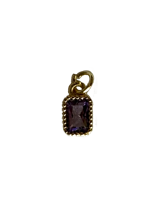 Gold Charms (Product Add on)