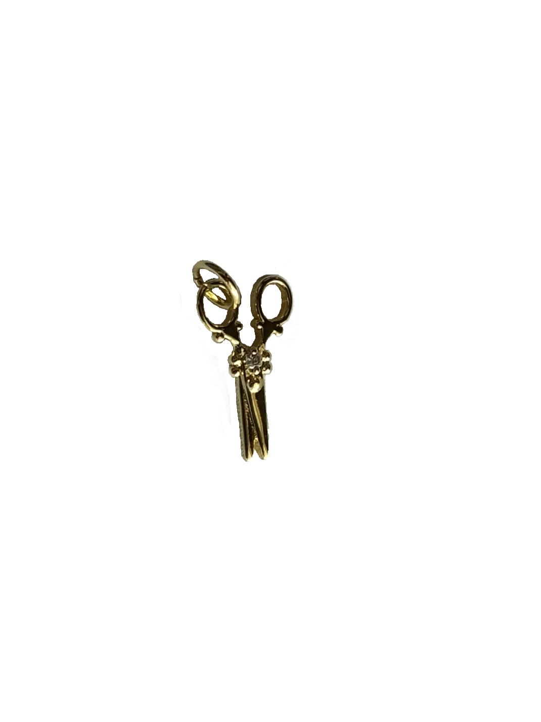Gold Charms (Product Add on)