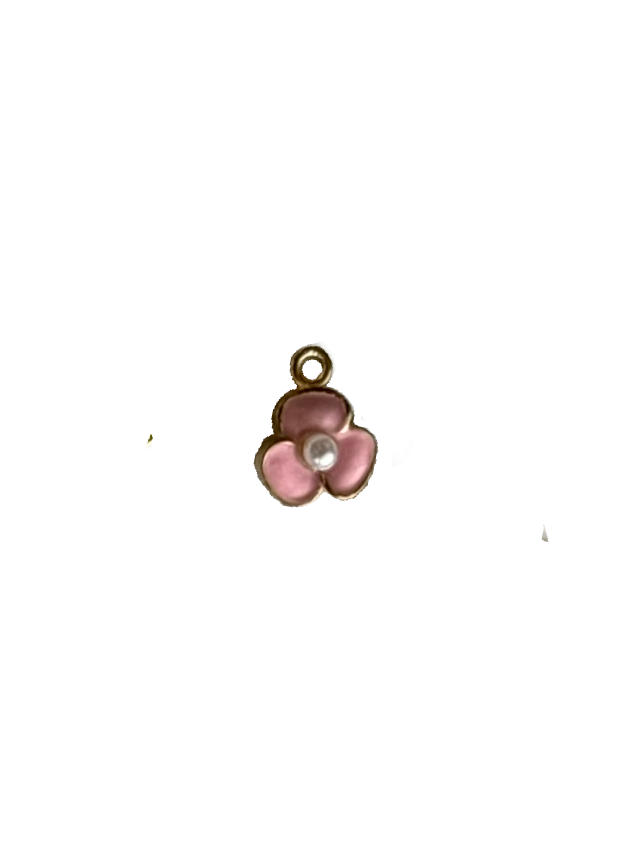 Gold Charms (Product Add on)