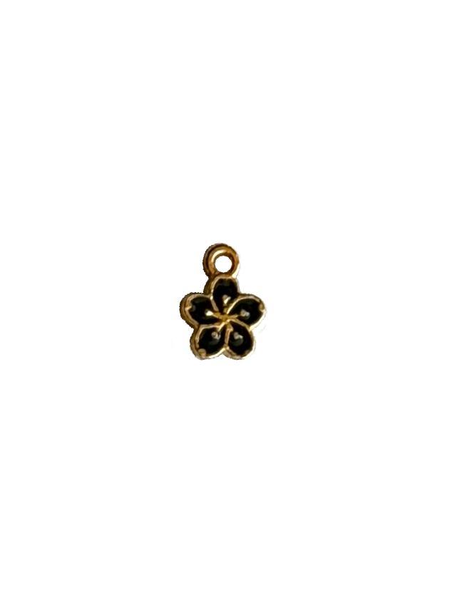 Gold Charms (Product Add on)