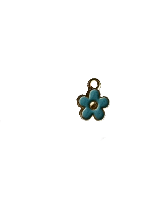 Gold Charms (Product Add on)