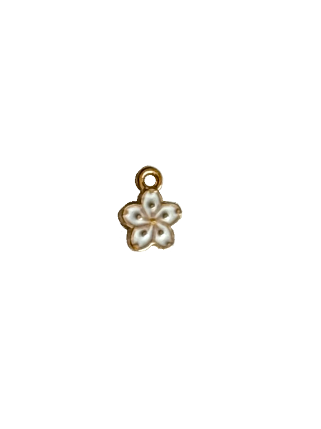Gold Charms (Product Add on)