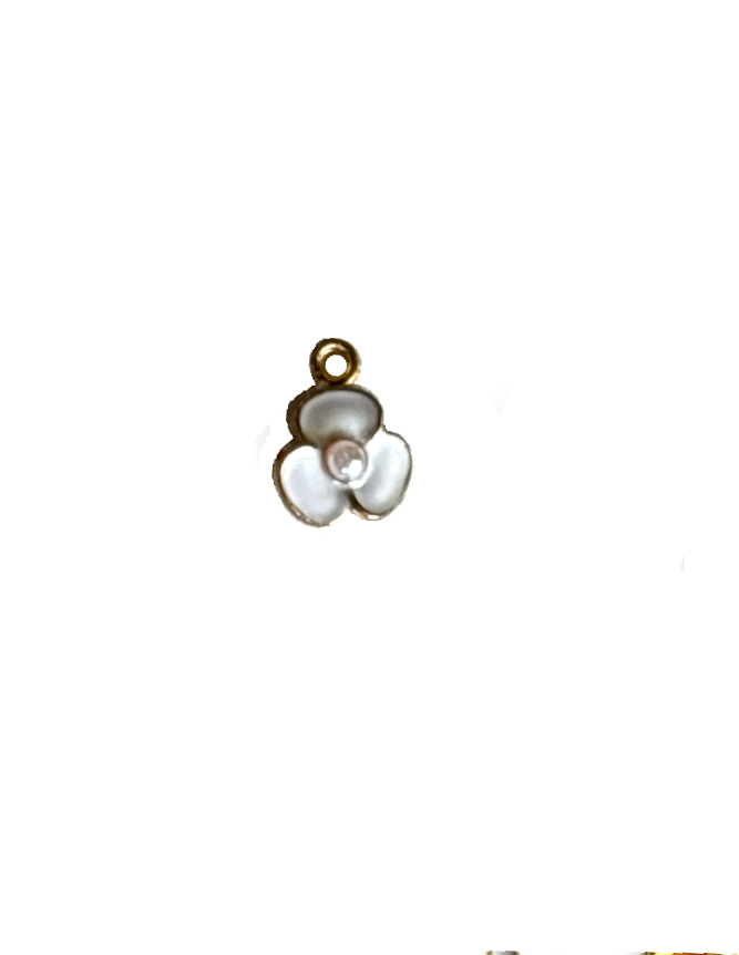 Gold Charms (Product Add on)