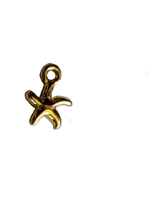 Gold Charms (Product Add on)