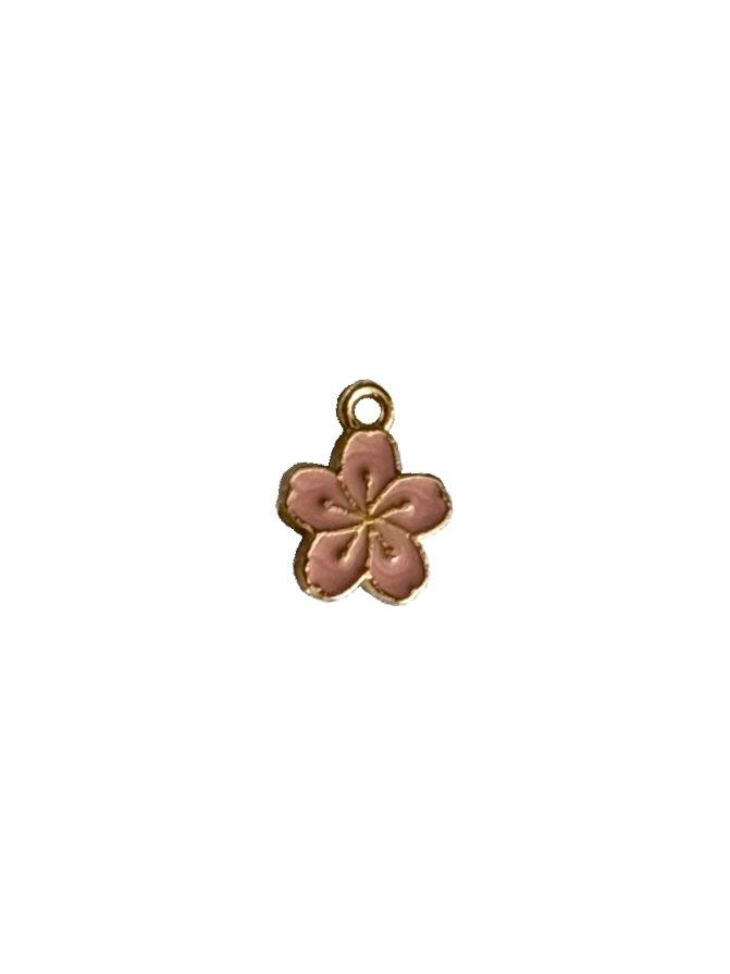 Gold Charms (Product Add on)