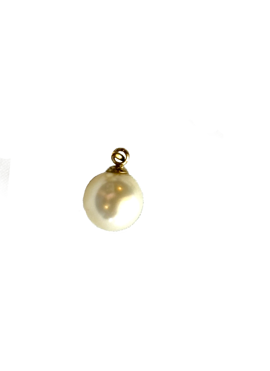 Gold Charms (Product Add on)