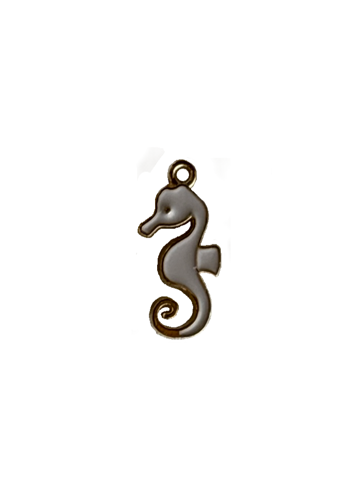 Gold Charms (Product Add on)
