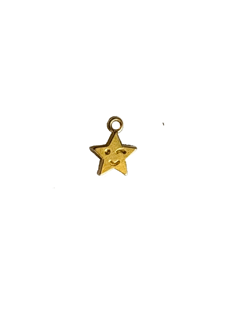 Gold Charms (Product Add on)